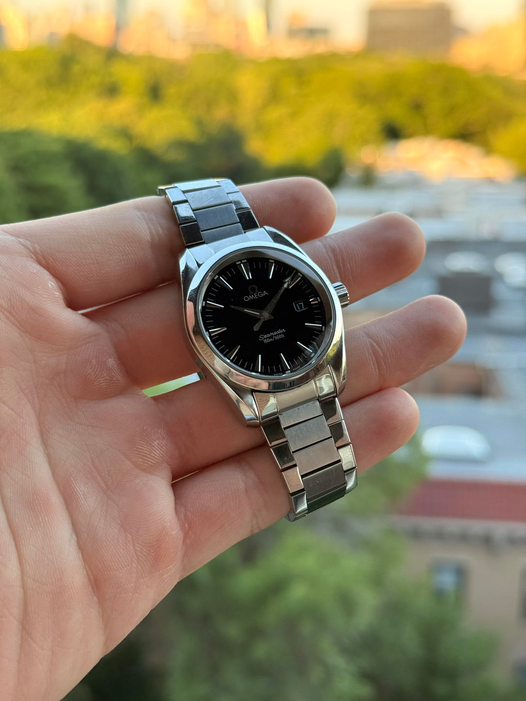 Omega Aqua Terra 36mm 2518.50