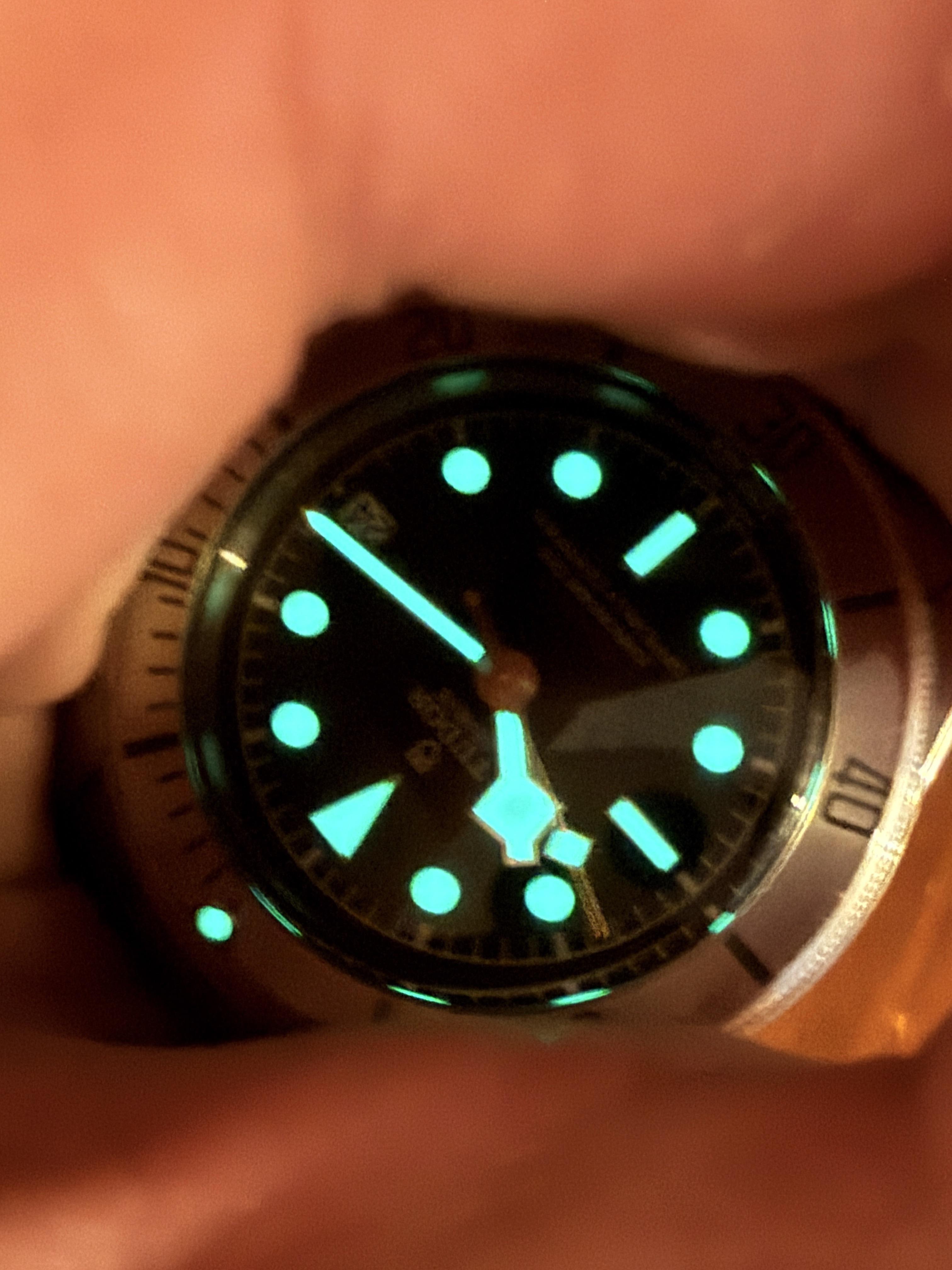 Tudor Black Bay 79730
